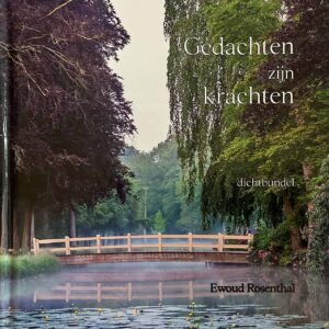 Gedachten zijn krachten